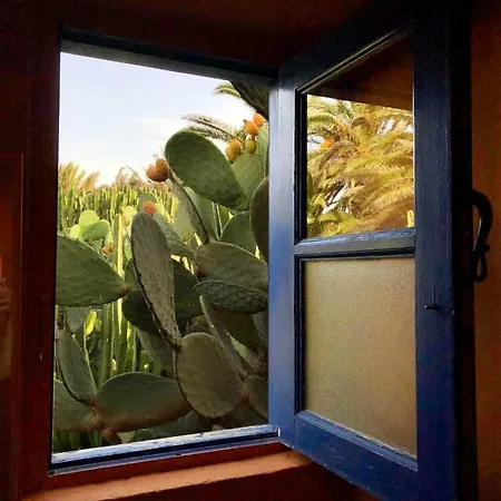 Casa Panama,in Der Mimosa Teguise (Lanzarote)